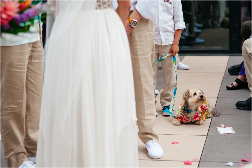 Dogs in weddings