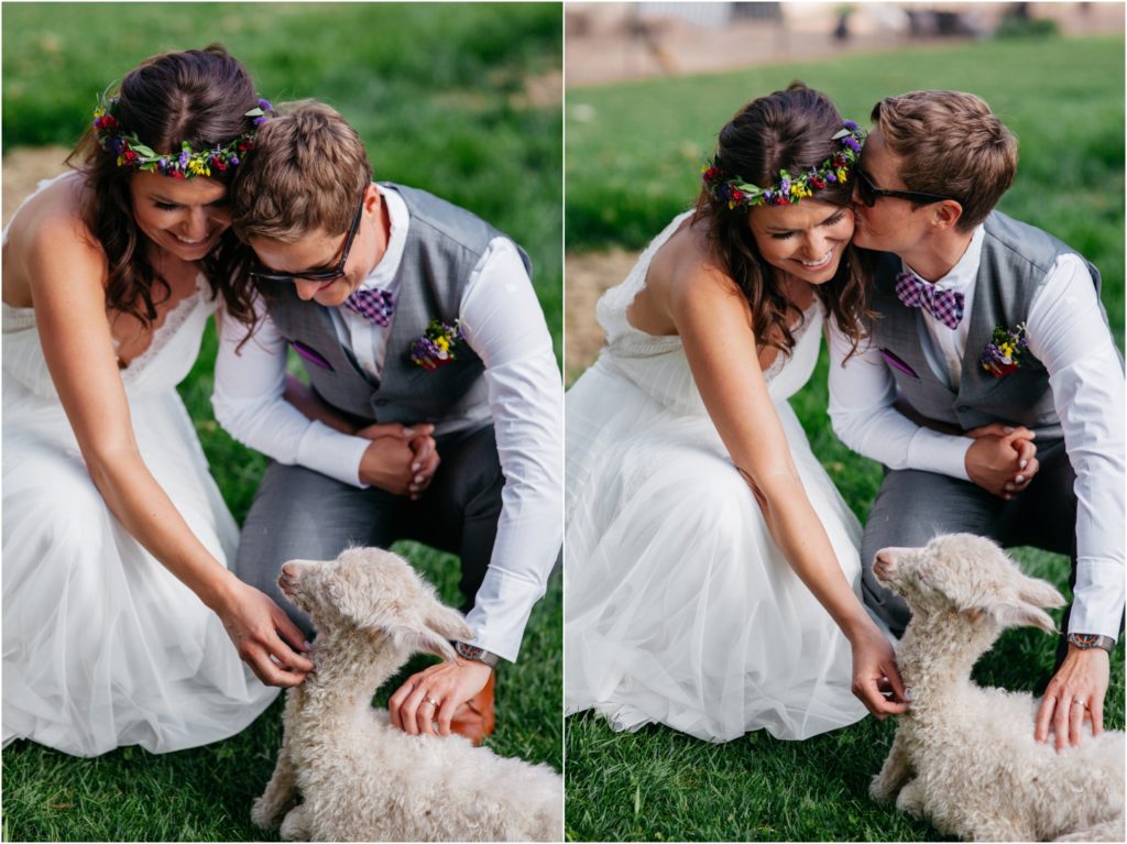 Lyons Farmette wedding photos