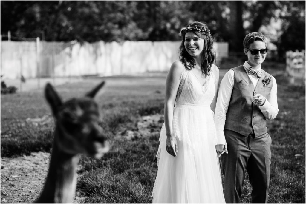 Lyons Farmette weddings