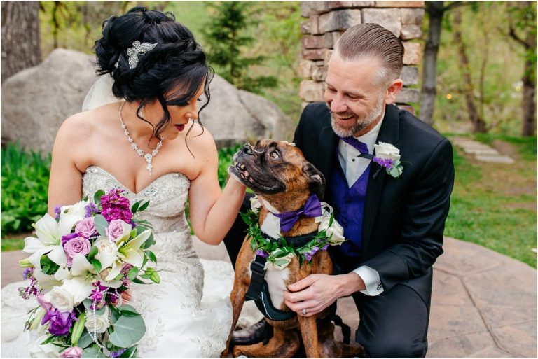 Dogs in weddings
