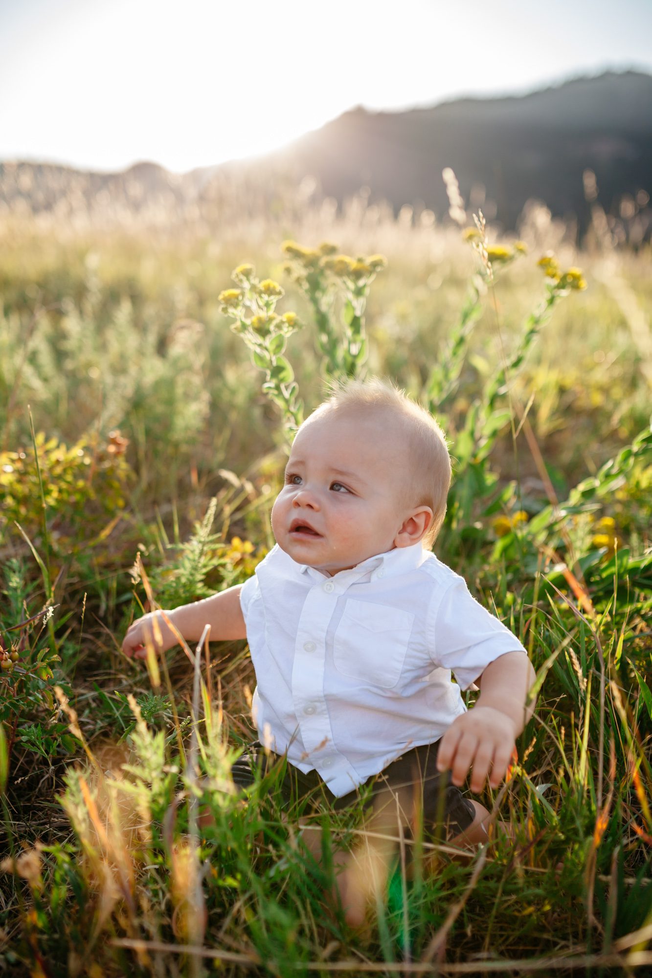 Colorado mountain family photos