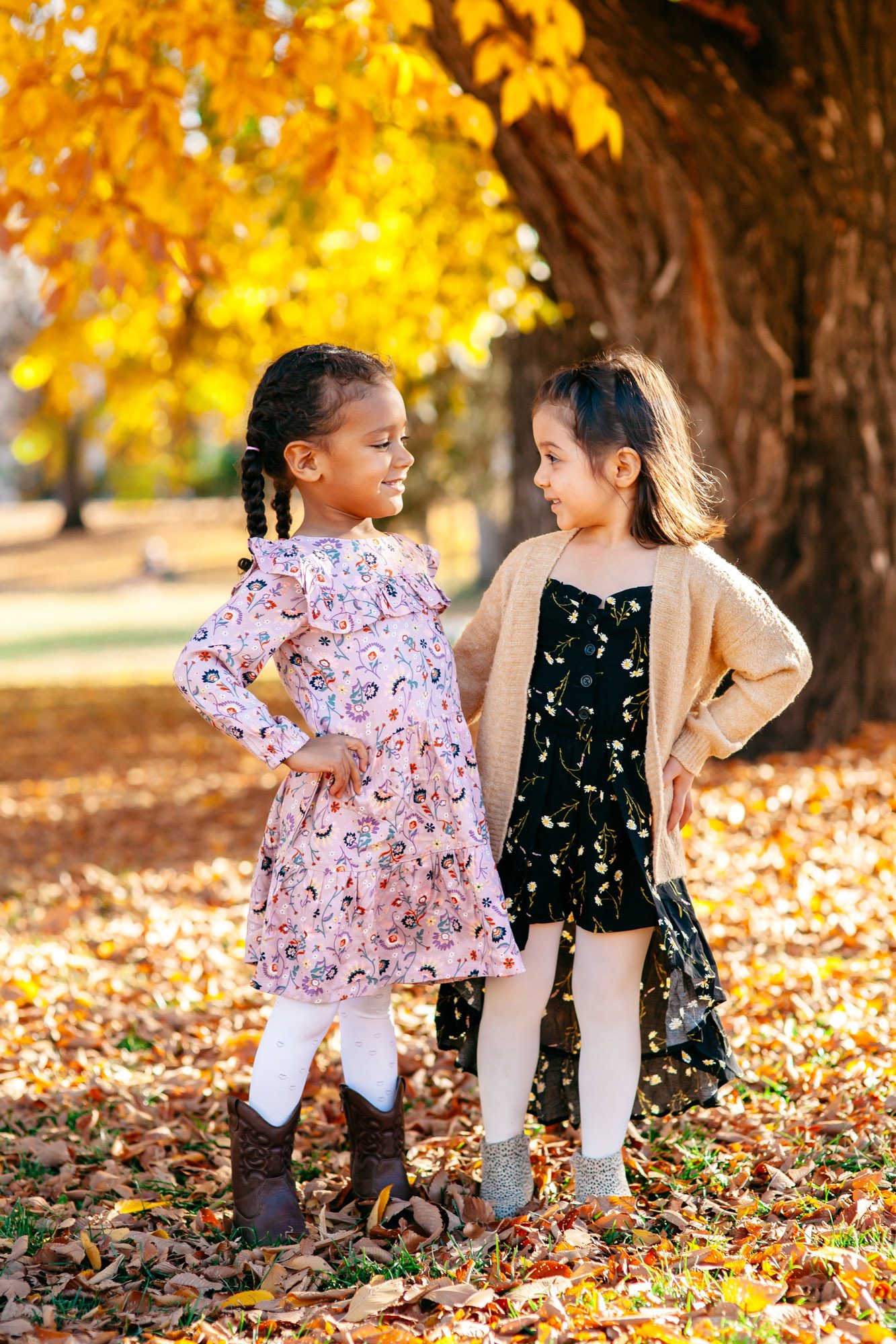 Denver fall family pictures