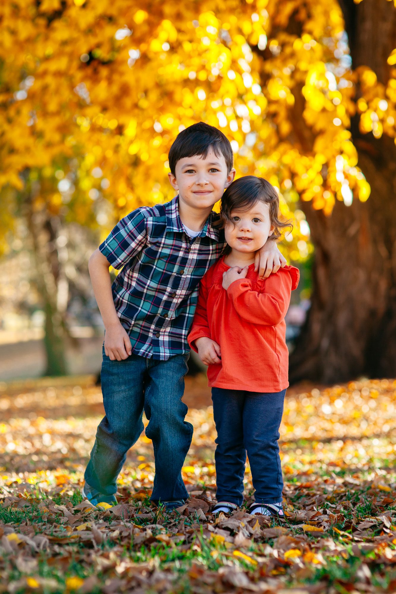 Fall family photos in Denver