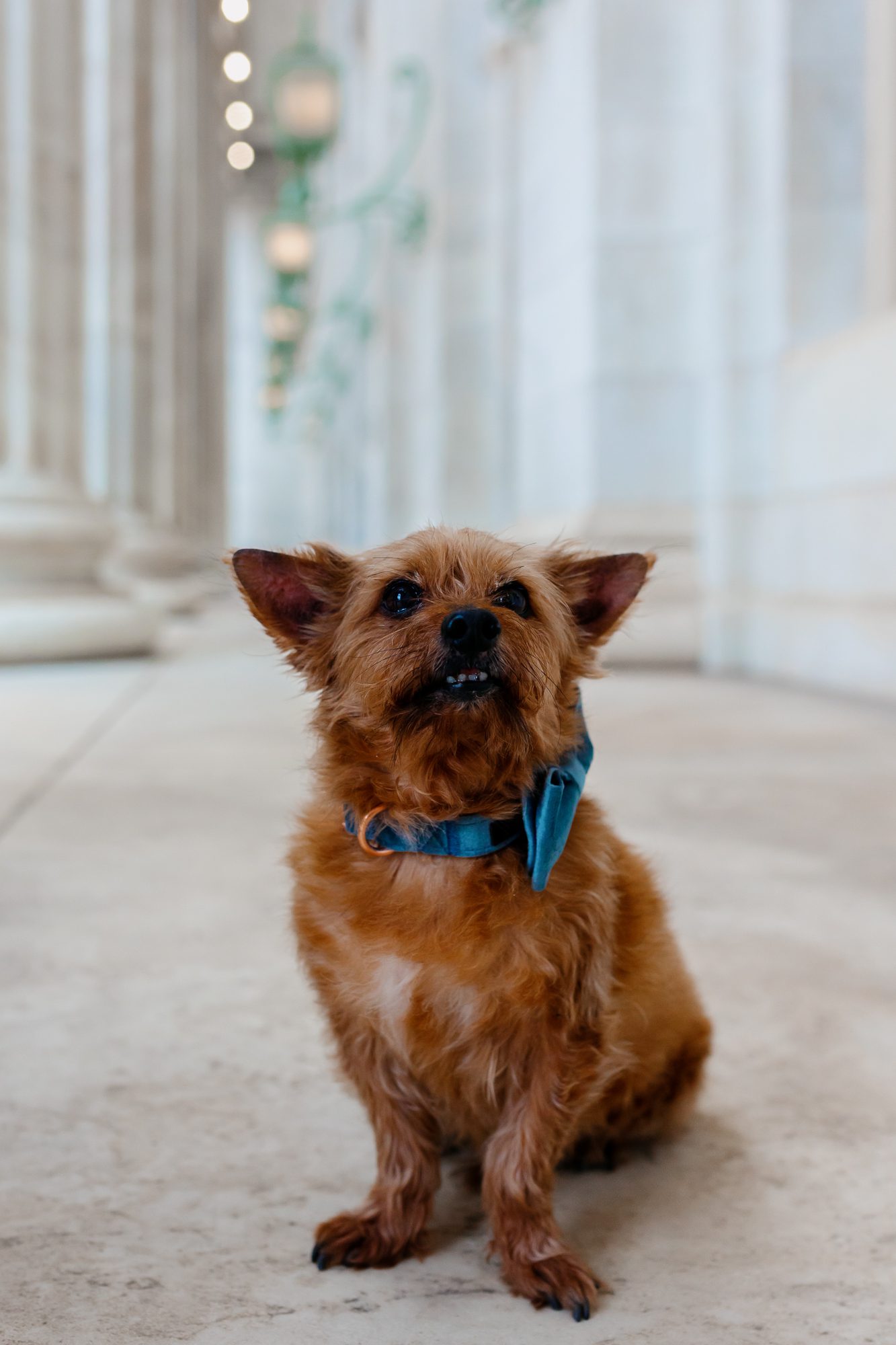 Clients posing for Denver courthouse elopement photos